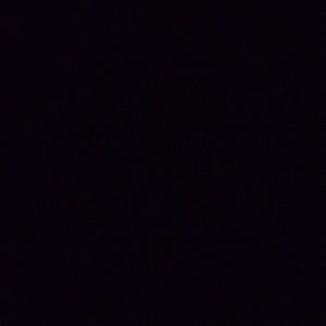 Meet your Posher, Sandy